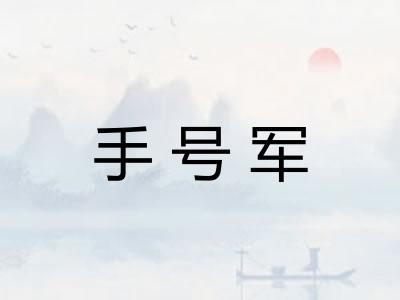 手号军