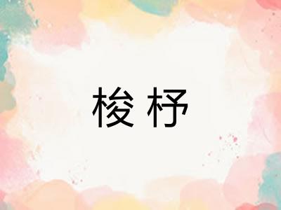 梭杼