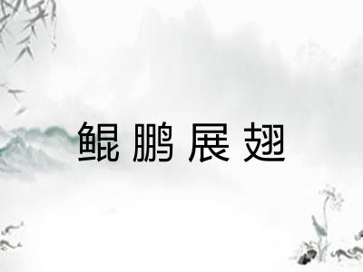 鲲鹏展翅
