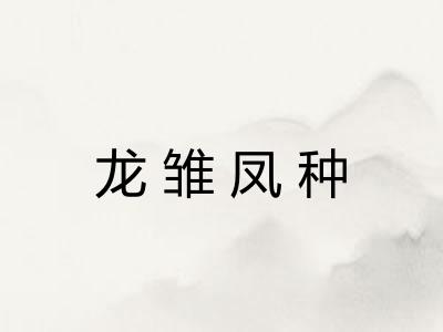 龙雏凤种