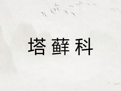 塔藓科
