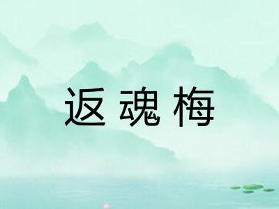 返魂梅