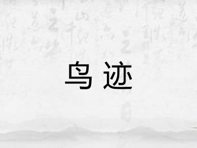 鸟迹
