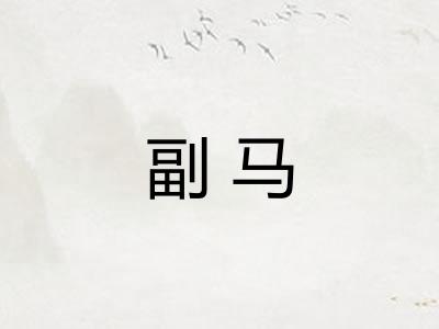 副马