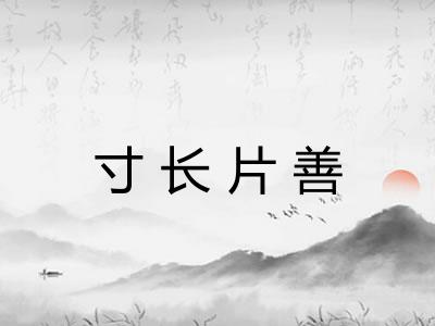 寸长片善