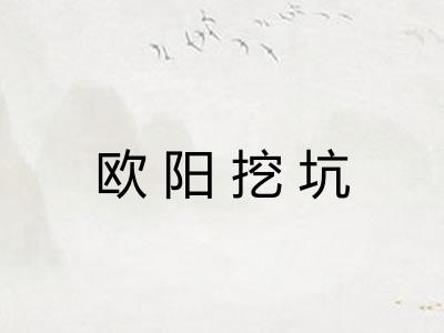 欧阳挖坑