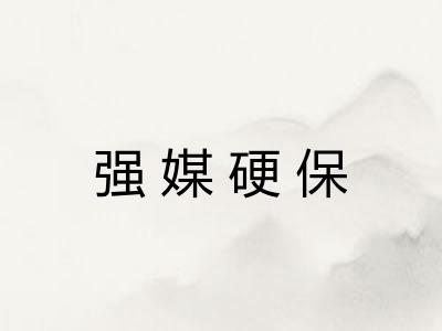 强媒硬保