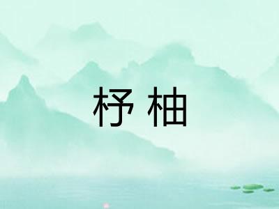 杼柚
