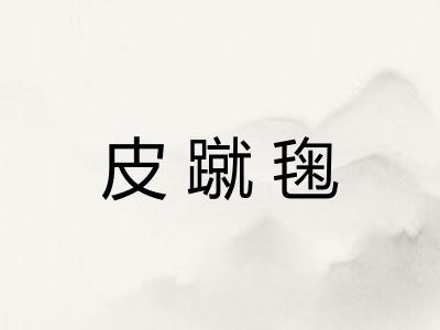 皮蹴毱