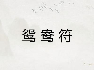 鸳鸯符