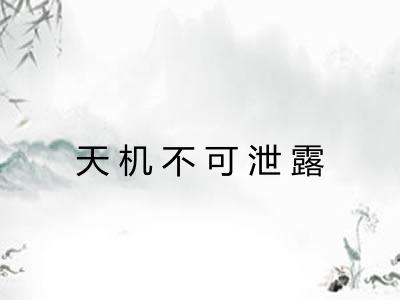 天机不可泄露