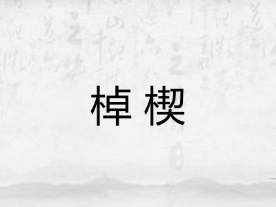 棹楔