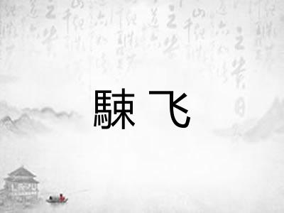 駷飞