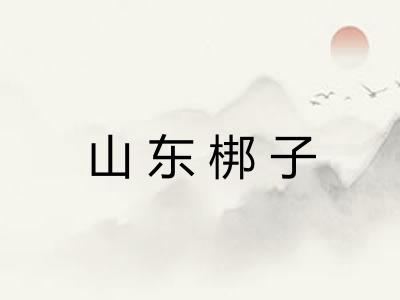 山东梆子