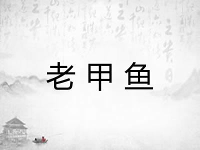 老甲鱼