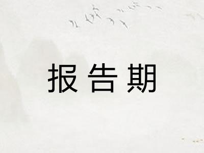 报告期