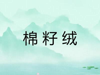 棉籽绒