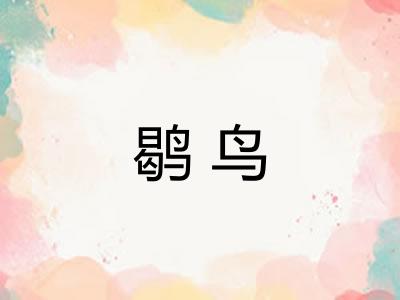 鹖鸟