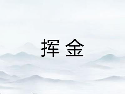挥金