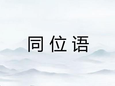 同位语