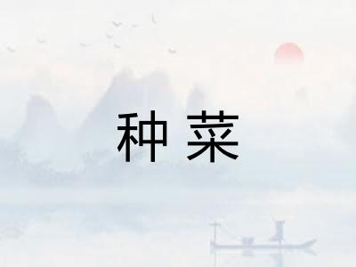 种菜