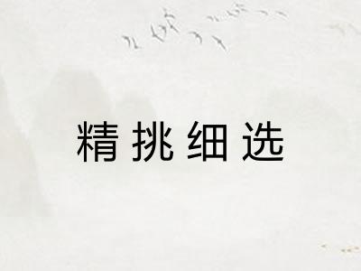 精挑细选