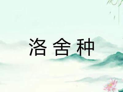 洛舍种