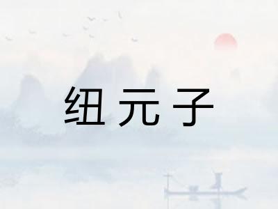 纽元子