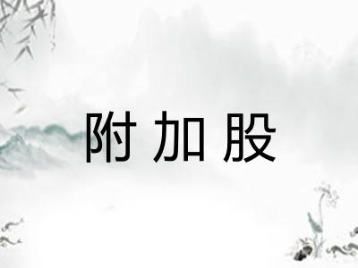 附加股