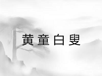 黄童白叟