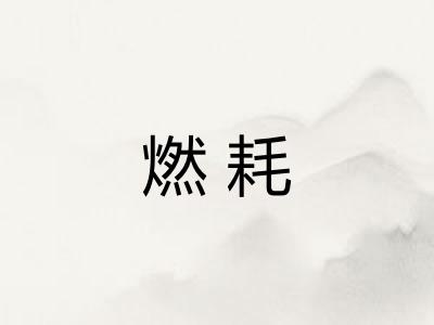 燃耗