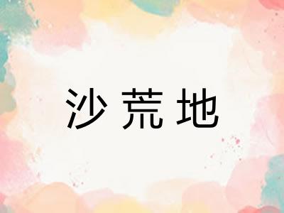 沙荒地