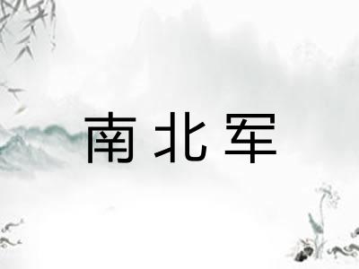 南北军