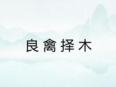 良禽择木