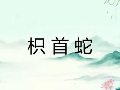 枳首蛇