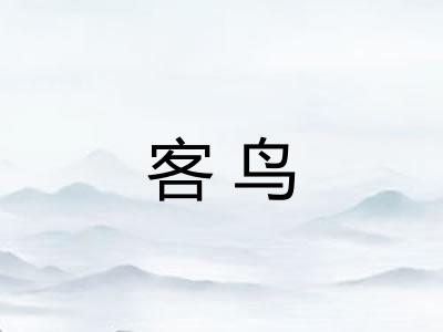 客鸟