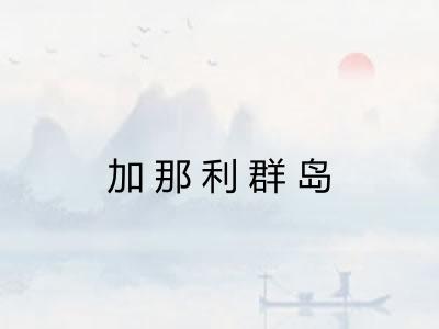 加那利群岛
