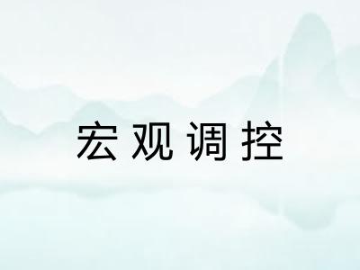 宏观调控