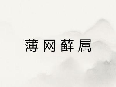 薄网藓属
