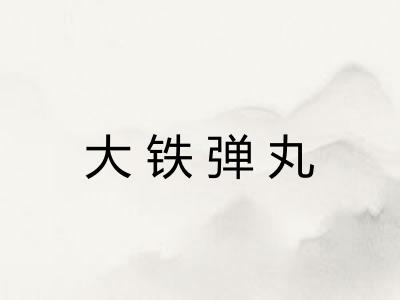 大铁弹丸
