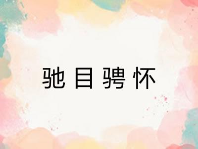 驰目骋怀