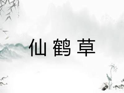 仙鹤草