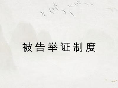 被告举证制度