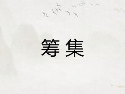 筹集