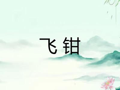 飞钳