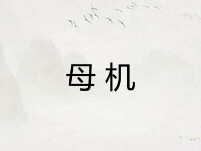 母机