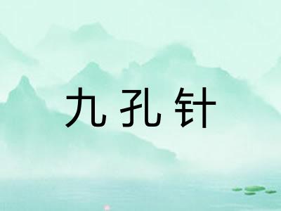 九孔针