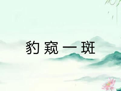 豹窥一斑