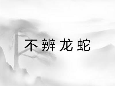不辨龙蛇
