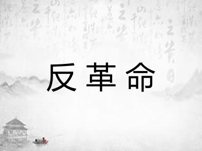 反革命
